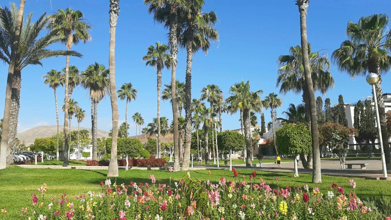 Comfortable Apartment In Las Americas, Ph317 With Pool Next To The Ocean Playa de las Américas Kültér fotó